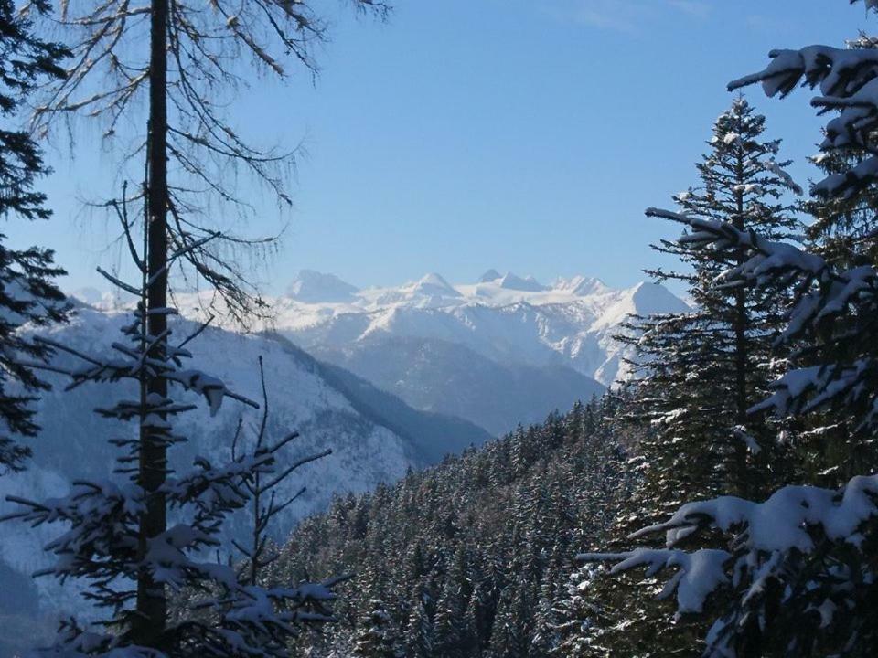 Sportpension Schober Obertraun Exteriör bild