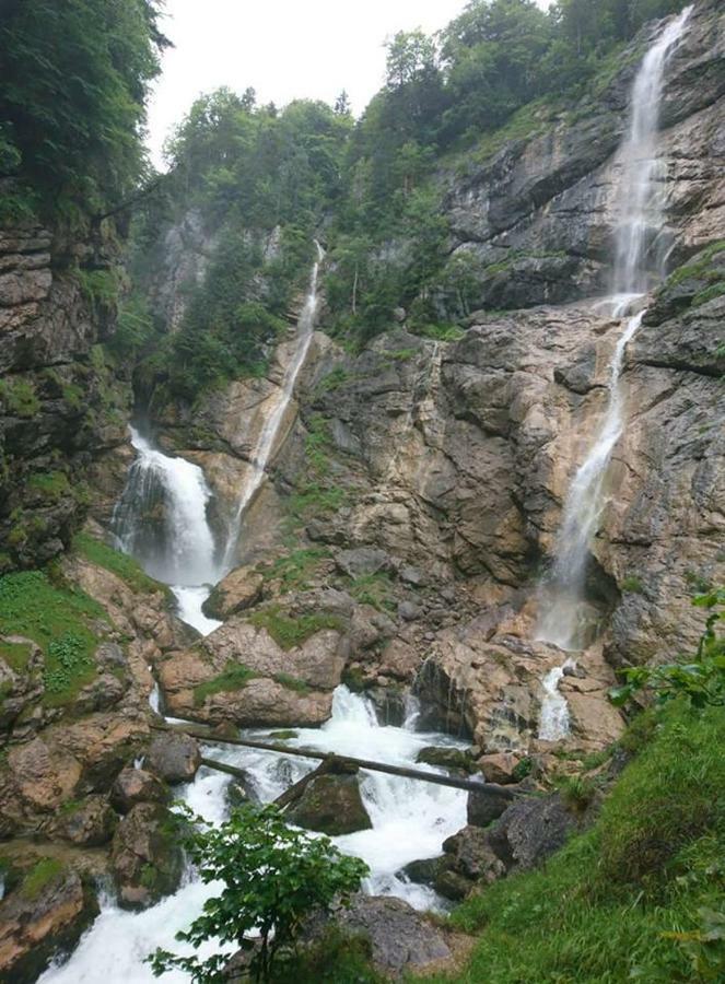 Sportpension Schober Obertraun Exteriör bild
