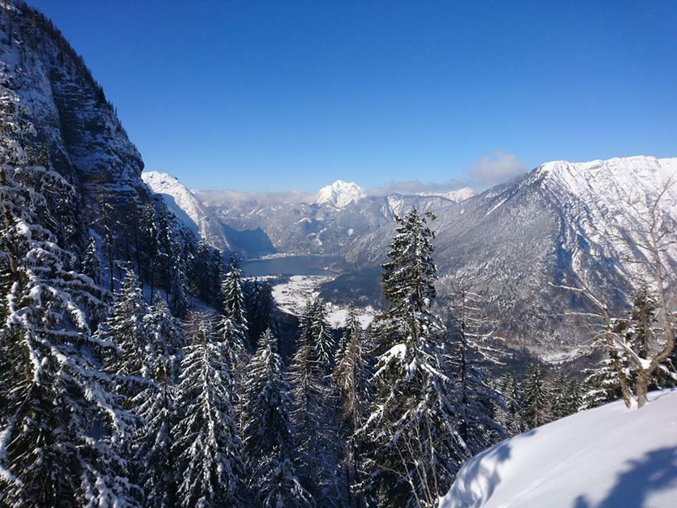 Sportpension Schober Obertraun Exteriör bild